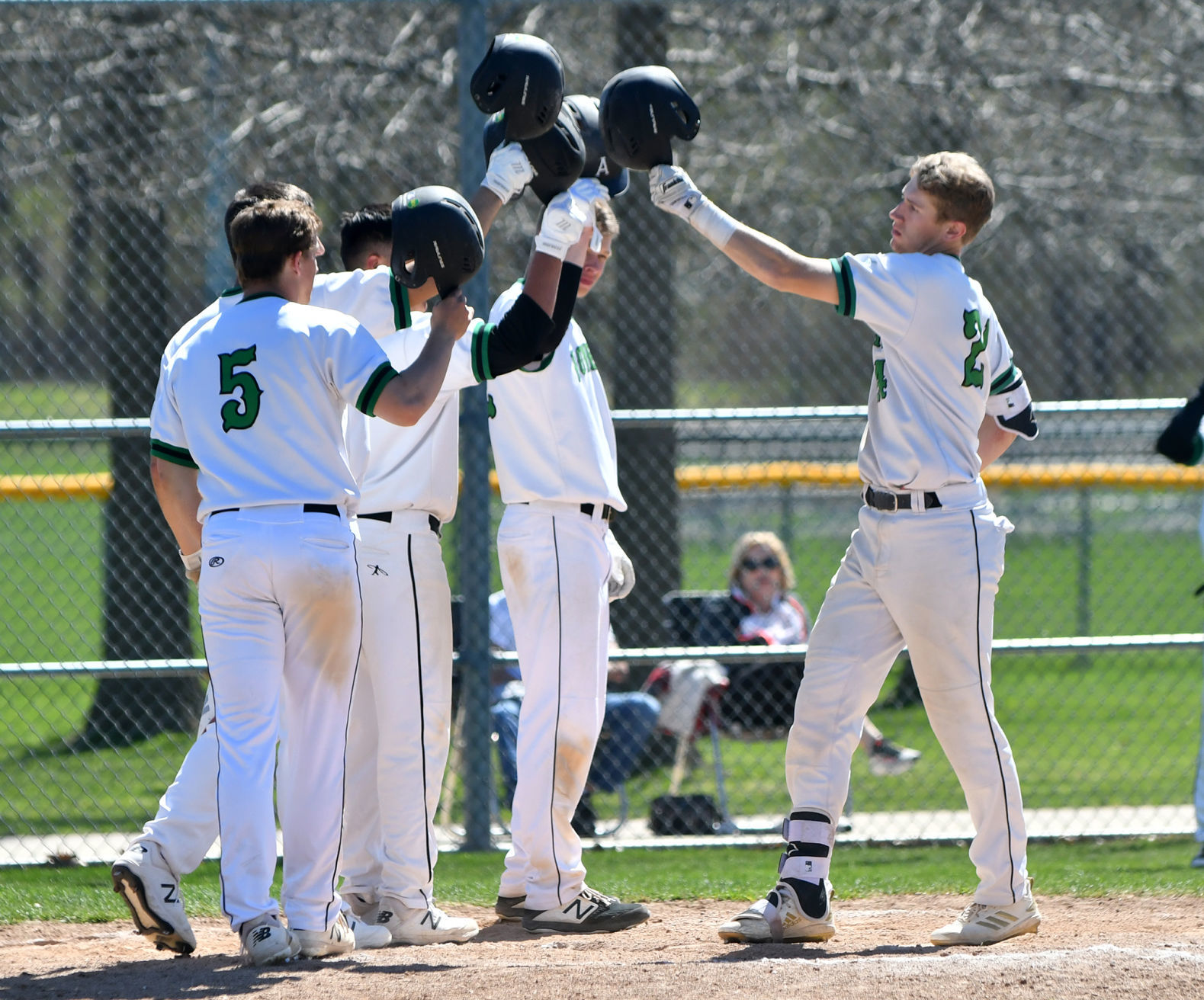 Moline at Alleman baseball